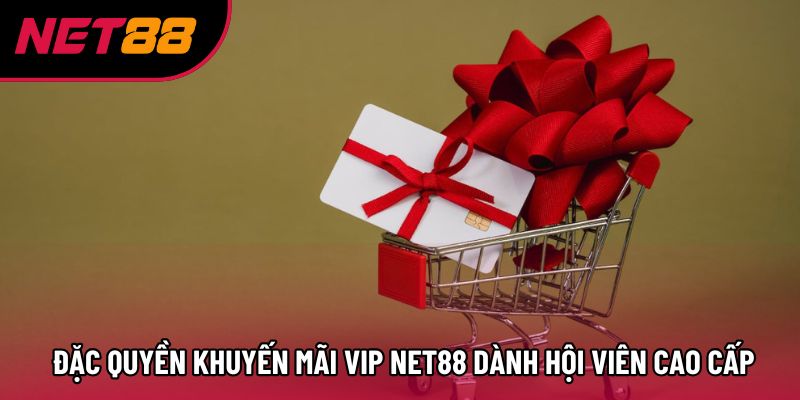 Đặc quyền khuyến mãi VIP Net88 dành hội viên cao cấp Đặc quyền khuyến mãi VIP Net88 dành hội viên cao cấp